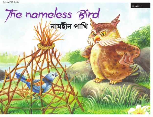 The nameless Bird